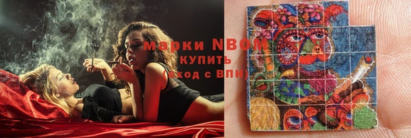 дмт Елабуга