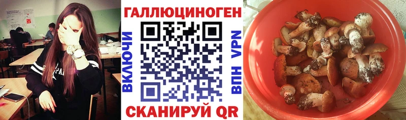 Галлюциногенные грибы ЛСД Дорогобуж