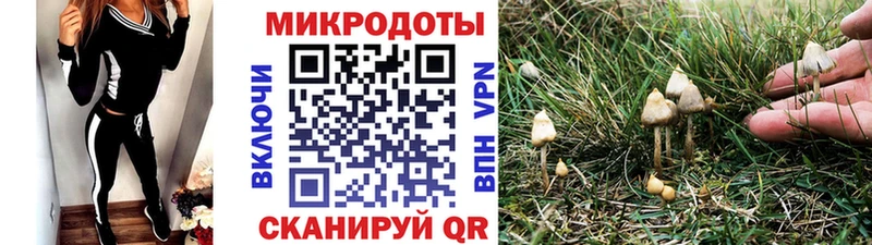 Псилоцибиновые грибы ЛСД  Купить  Дорогобуж 